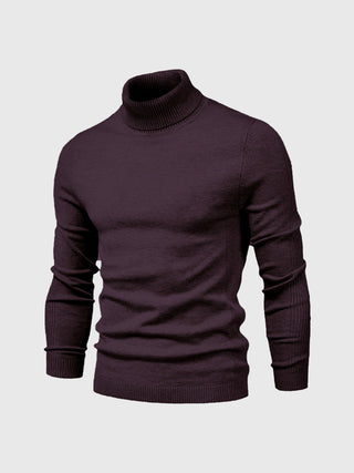 Herren Rollkragenpullover | Schlanke Passform