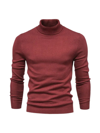 Herren-Rollkragenpullover | Langarm