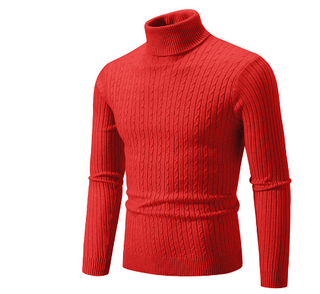 Herren Schlanke Passform Pullover | Rollkragen
