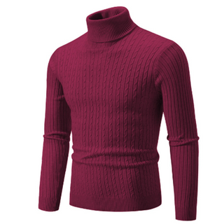 Herren Schlanke Passform Pullover | Rollkragen