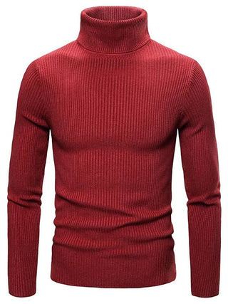 Herren Winter Rollkragenpullover | Mit Geripptem Design