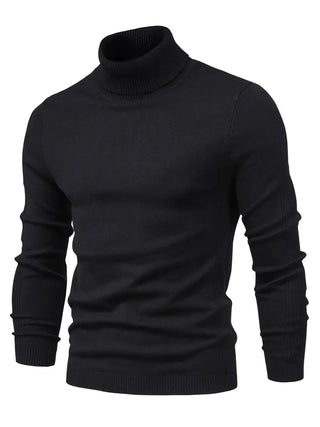 Herren-Rollkragenpullover | Langarm