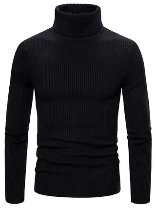 Herren Rippstrickpullover | Rollkragen