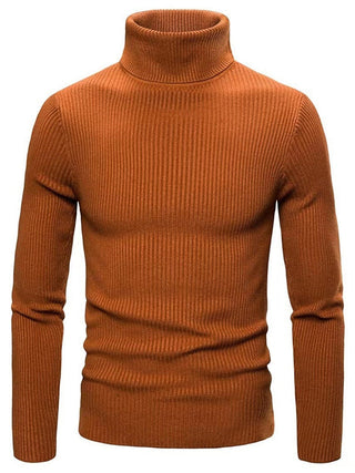 Herren Rippstrickpullover | Rollkragen