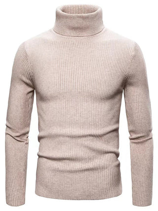Herren Rippstrickpullover | Rollkragen